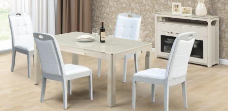 Bộ bàn ghế ăn BA101, GA101